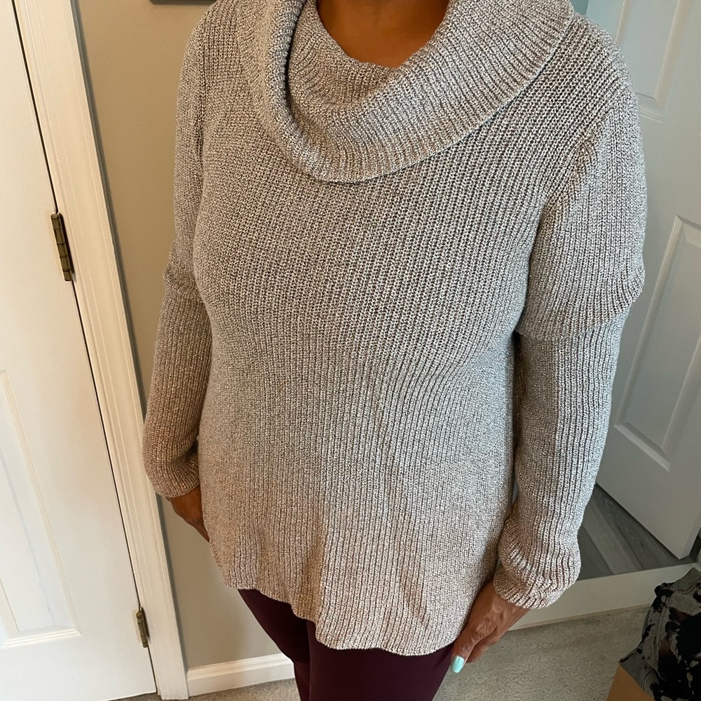 Ombré sparkly sweater white house black market